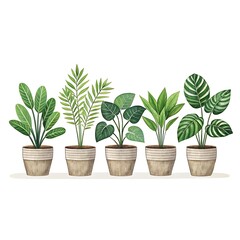 Fototapeta premium Row of diverse potted houseplants with lush green foliage