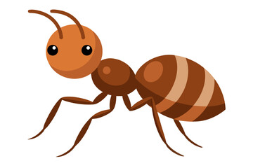 ant isolated on white background