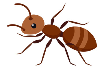 ant