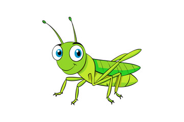 green grasshopper isolated on white background