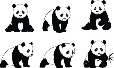 Panda silhouette vector set, cute black and white bear illustrations, bamboo eating panda artwork, wildlife animal design, cartoon panda graphic collection