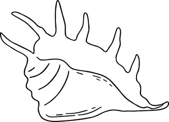 A black and white line drawing of a conch shell