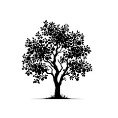 Obraz premium Apple Tree Vector Illustration – Orchard Fruit Tree with Ripe Apples