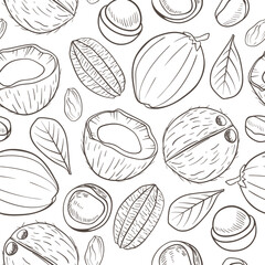 A black and white sketch of various nuts and leaves