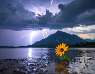 A single yellow flower on a lakeshore during a powerful thunderstorm