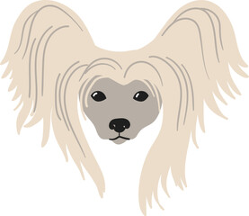 A cartoon illustration of a Chinese Crested dogs head with pale fur