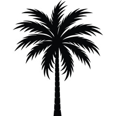 Black silhouette of a tropical palm tree with a textured trunk and fanned leaves nature