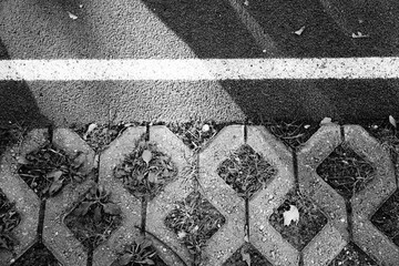 Abstract black and white close-up of textured paving stones with a white line and sparse greenery