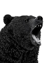 A fierce grizzly bear roars with its mouth open, a powerful, detailed illustration against white background.
