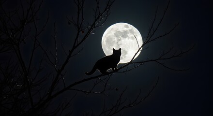Fototapeta premium Silhouette of a cat perched on a branch with a glowing full moon