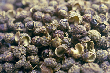 Dried Green Sichuan pepper fresh Hua Jiao Chinese spice herb