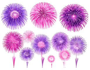 Vibrant firework blooms in shades of pink and purple