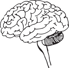 Minimalist outline sketch of mental health blooming mind with flowers, wellness growth illustration, psychology concept, self care therapy art, mindfulness and healing vector design