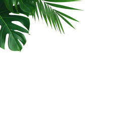 Naklejka premium Tropical leaves in a corner composition