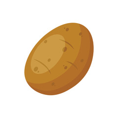 Flat vector illustration of potato isolated on white background