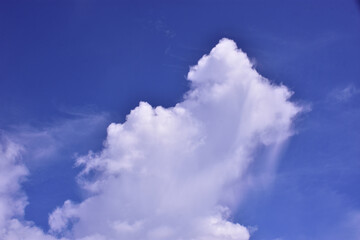 Obraz premium Large cumulus white cloud rising in a vibrant deep blue sky, creating a dramatic and peaceful atmosphere. A natural tropical sky scene from Bangladesh