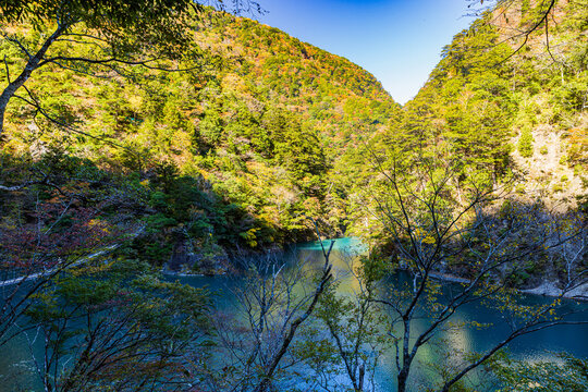 Autumn scenery of Sumata Gorge, Shizuoka Prefecture