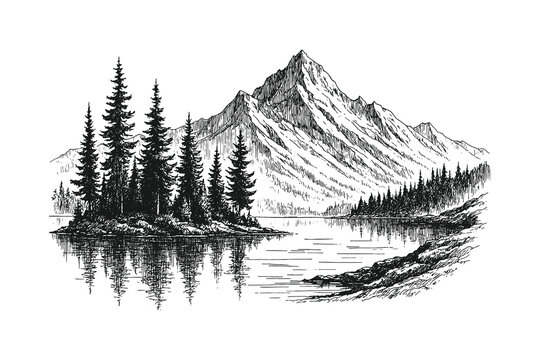 hand drawn mountain landscape with pine forest and lake reflection in vintage engraving style illustration.