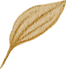 gold watercolor leaf illustration