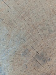 old wood texture