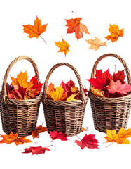 Autumnal baskets filled with vibrant leaves
