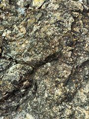 Exploring the textures and patterns of ancient rock formations illuminated by sunlight in a serene natural setting