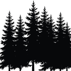 Obraz premium Silhouette Of A Forest With Evergreen Trees pine