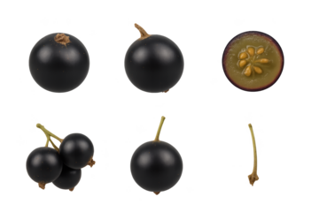 Gooseberry set with whole, sliced, cluster, and stem elements, perfect for food design, botanical illustration, and healthy diet concepts.