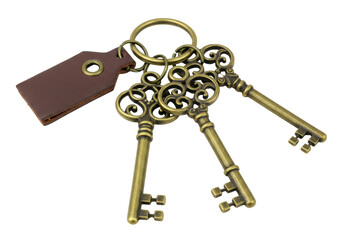 Isolated Bronze Keys on a Ring With Leather Tag Keyring Vintage Antique Style Old Look