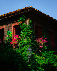 Rustic ivy‑covered house with flowers and birdhouse in Nessebar, Bulgaria