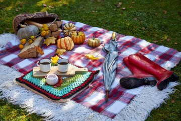 Cozy autumn picnic on a checkered blanket with pumpkins, firewood, red rubber boots, umbrella, and mugs of hot coffee outdoors in the garden. Warm fall atmosphere with rustic decoration