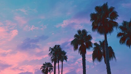 Silhouetted palm trees against a vibrant sunset sky (2)