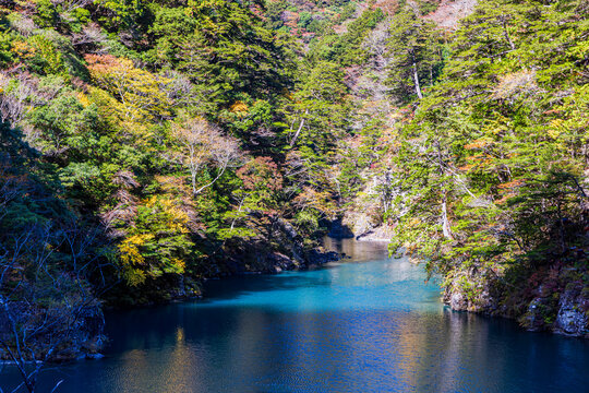 Autumn scenery of Sumata Gorge, Shizuoka Prefecture