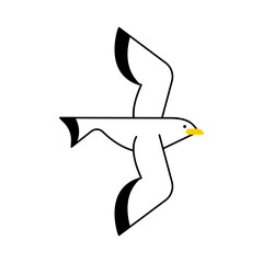 seagull bird in flight, symbol of freedom, sea breeze, coastal wildlife, nature, and peaceful maritime spirit.
