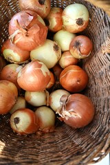 A close-up of freshly harvested yellow and white onions piled high in a wicker basket. Represents the bountiful and seasonal produce of the autumn harvest and rural farming.