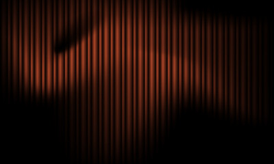 Curtain's Mystery: A deep brown curtain with vertical ridges and a dramatic shadow. This image may evoke a feeling of mystery and drama.