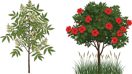 plant, flower, blossom, seasonal, nature, garden, landscape, vector, illustration, yellow, red, hibiscus, trunk, contrast, growth, concept, design, flora, outdoor, comparison