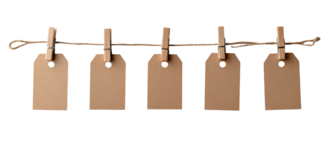 Blank brown paper tags hanging on twine with clothespins