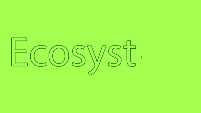 Stroke Animation Text