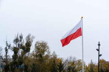 Polish national flag waving on tall flagpole against cloudy sky with autumn trees in background. Concept of patriotism and national identity. High quality photo