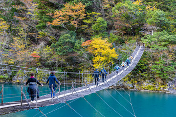 Autumn scenery of the Dream Suspension Bridge in Sumata Gorge, Shizuoka Prefecture