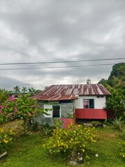 Rustic Cottage With Rusty Roof Surrounded By Lush Garde