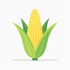 Corn on the cob isolated on white background illustration