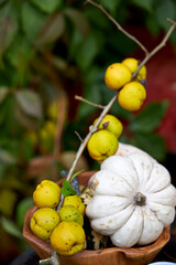 Cozy autumn still life in a garden with rustic table, pumpkins, quinces, glass jar, and warm seasonal decor. Outdoor fall atmosphere with natural colors, homely comfort, and countryside charm, perfect