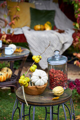 Cozy autumn still life in a garden with rustic table, pumpkins, quinces, glass jar, and warm seasonal decor. Outdoor fall atmosphere with natural colors, homely comfort, and countryside charm, perfect