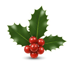 holly with berries