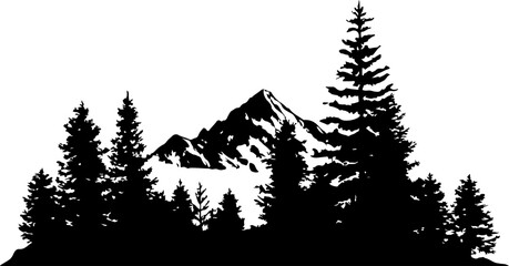 "Monochrome Wilderness"