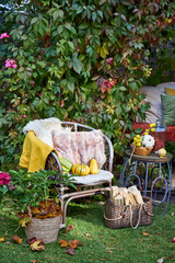 Cozy autumn terrace with rustic decor, wicker chairs, colorful pillows, firewood basket, and seasonal pumpkins. Decorative plants and vibrant fall foliage create a warm, inviting outdoor retreat, perf