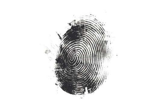 Inked fingerprint detail on paper surface isolated on transparent background