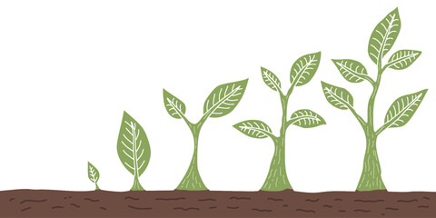 Plant seedling growth stages vector illustration. Hand drawn tree growth cycle. Agriculture growing plant cartoon